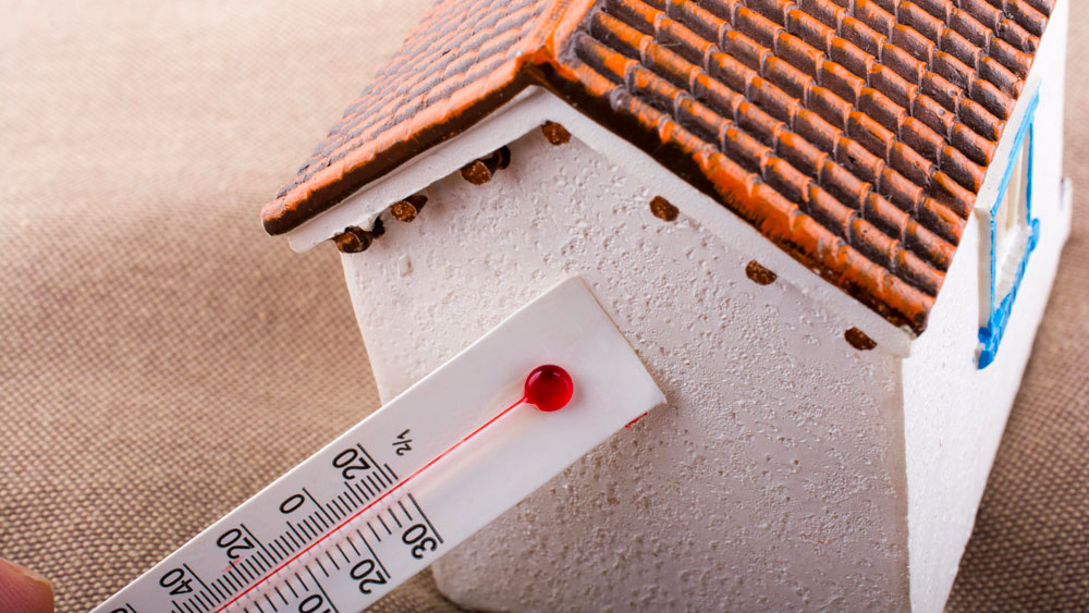 Interventi trainanti: isolamento termico